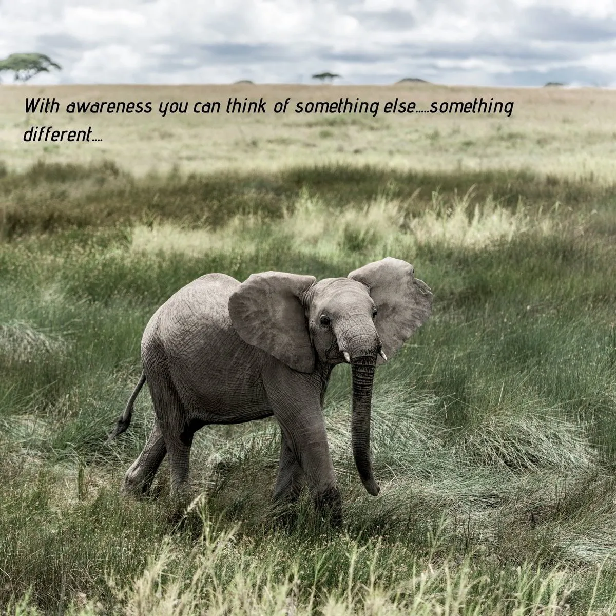 Pray for……what??